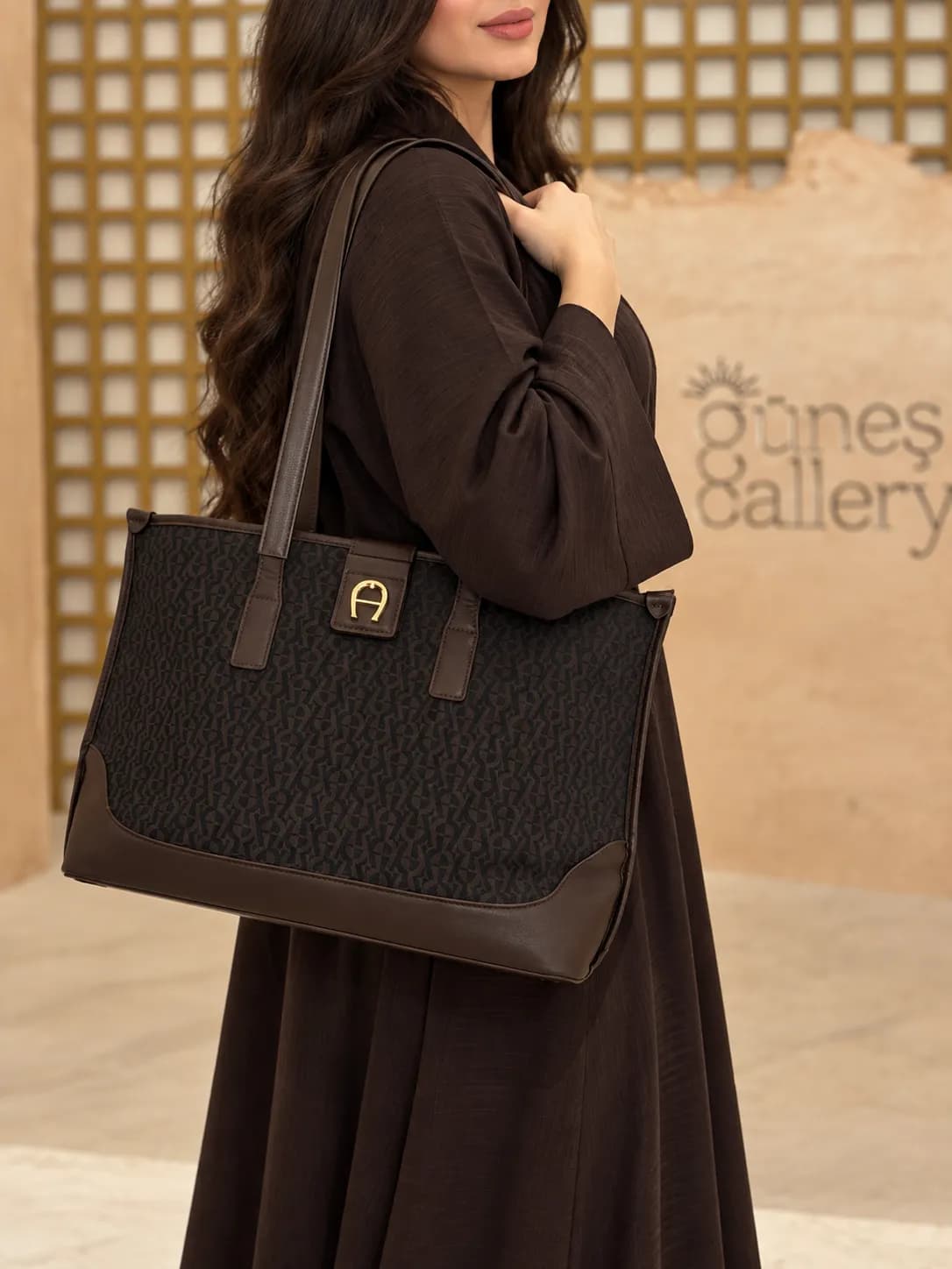 Aigner Brown Tote Bag